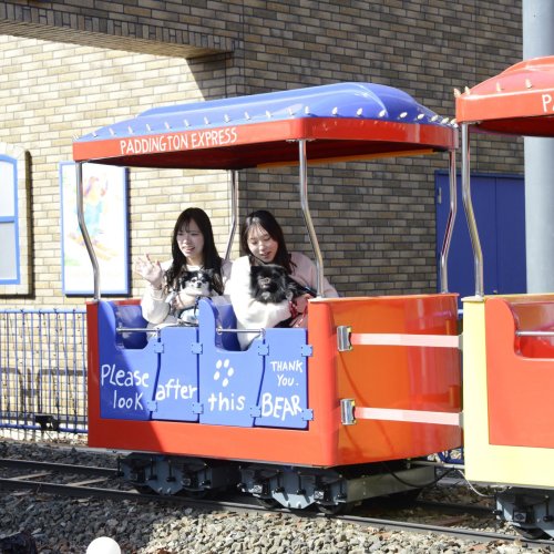 Paddington Coaster