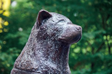 Hachiko Statue