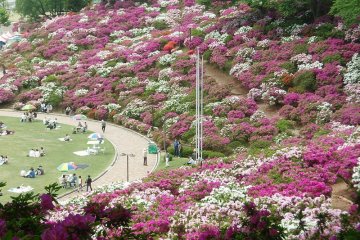 Nishiyama Park