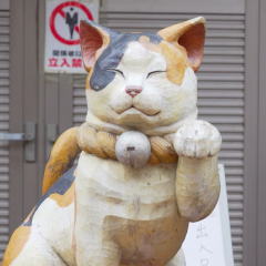 Shingo Yamada